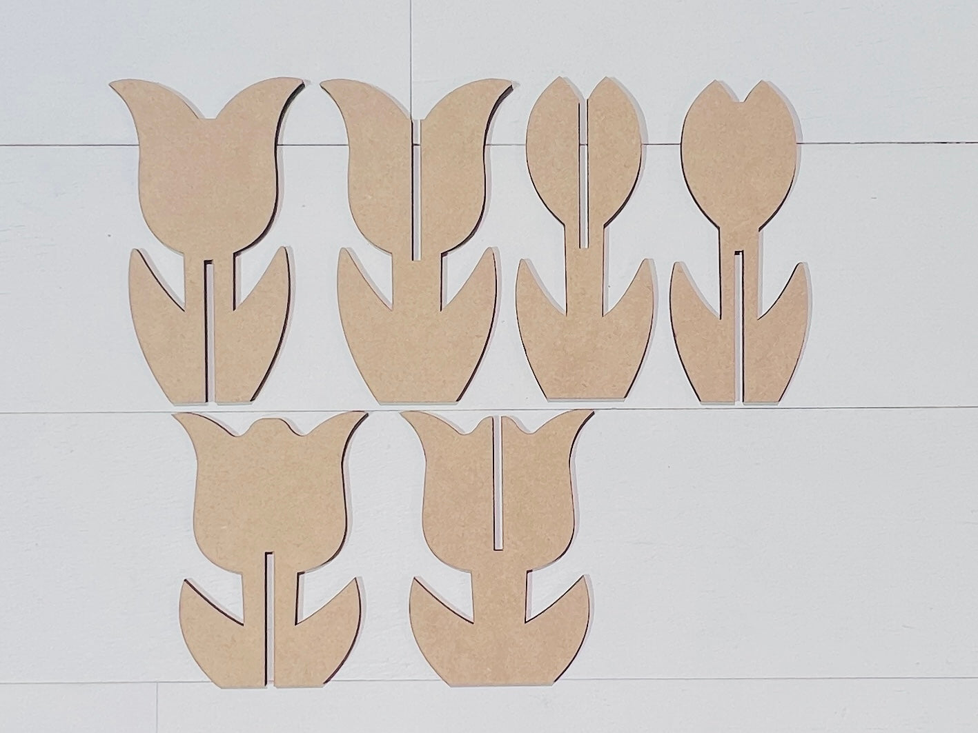 3D Tulip Flowers BLANKS