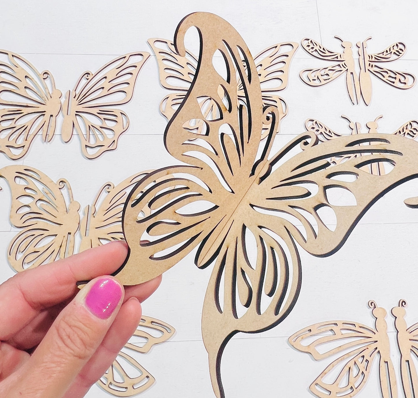 3D Butterflies and Dragonflies Set