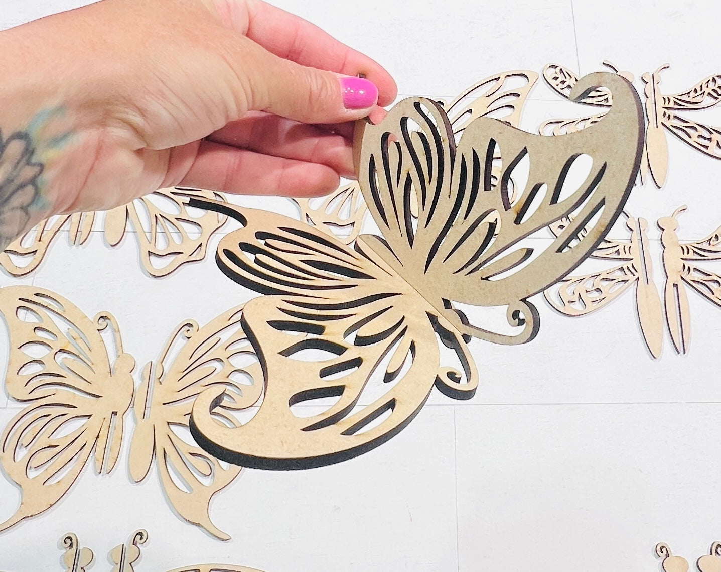 3D Butterflies and Dragonflies Set