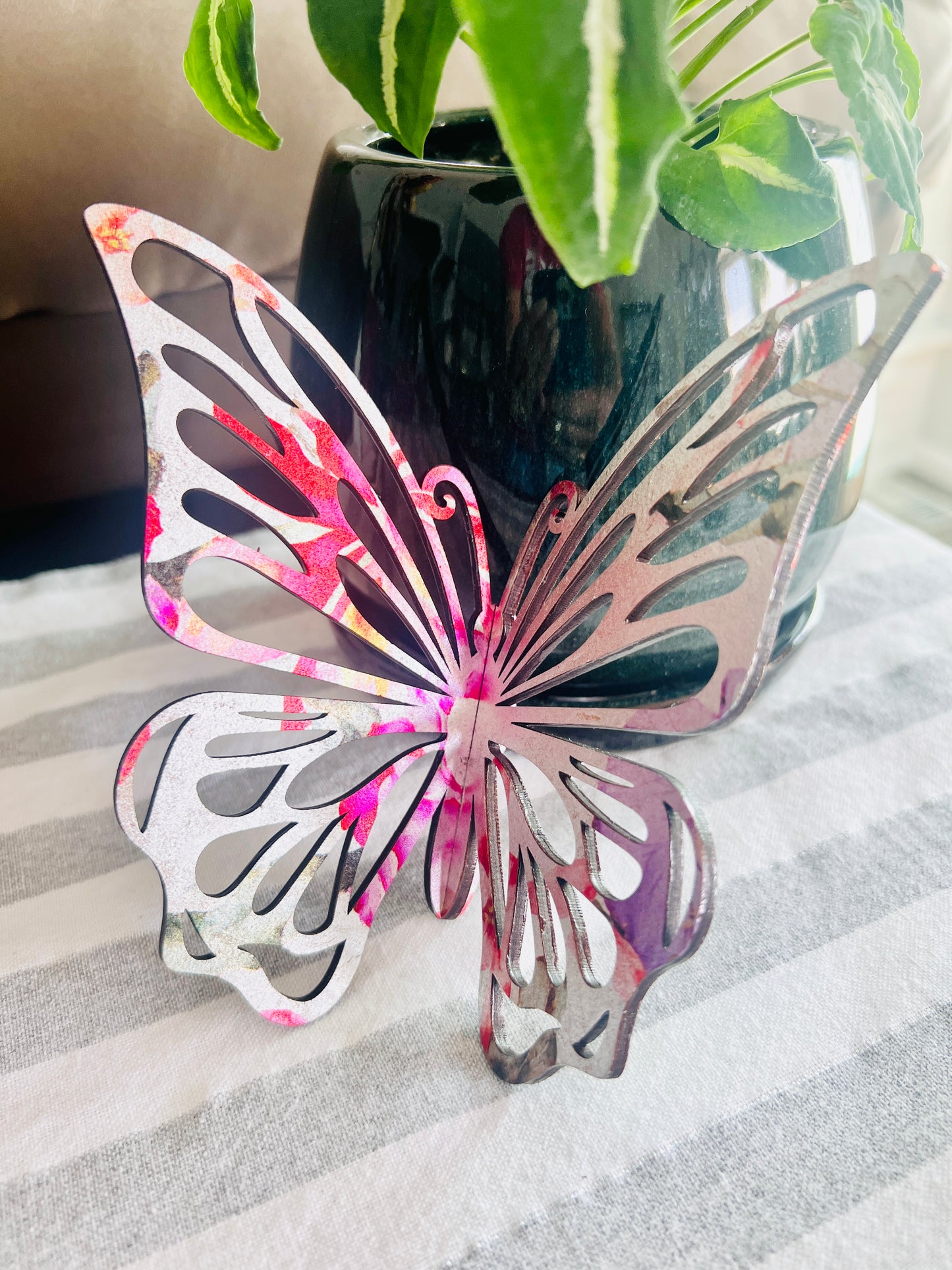 3D Butterflies and Dragonflies Set