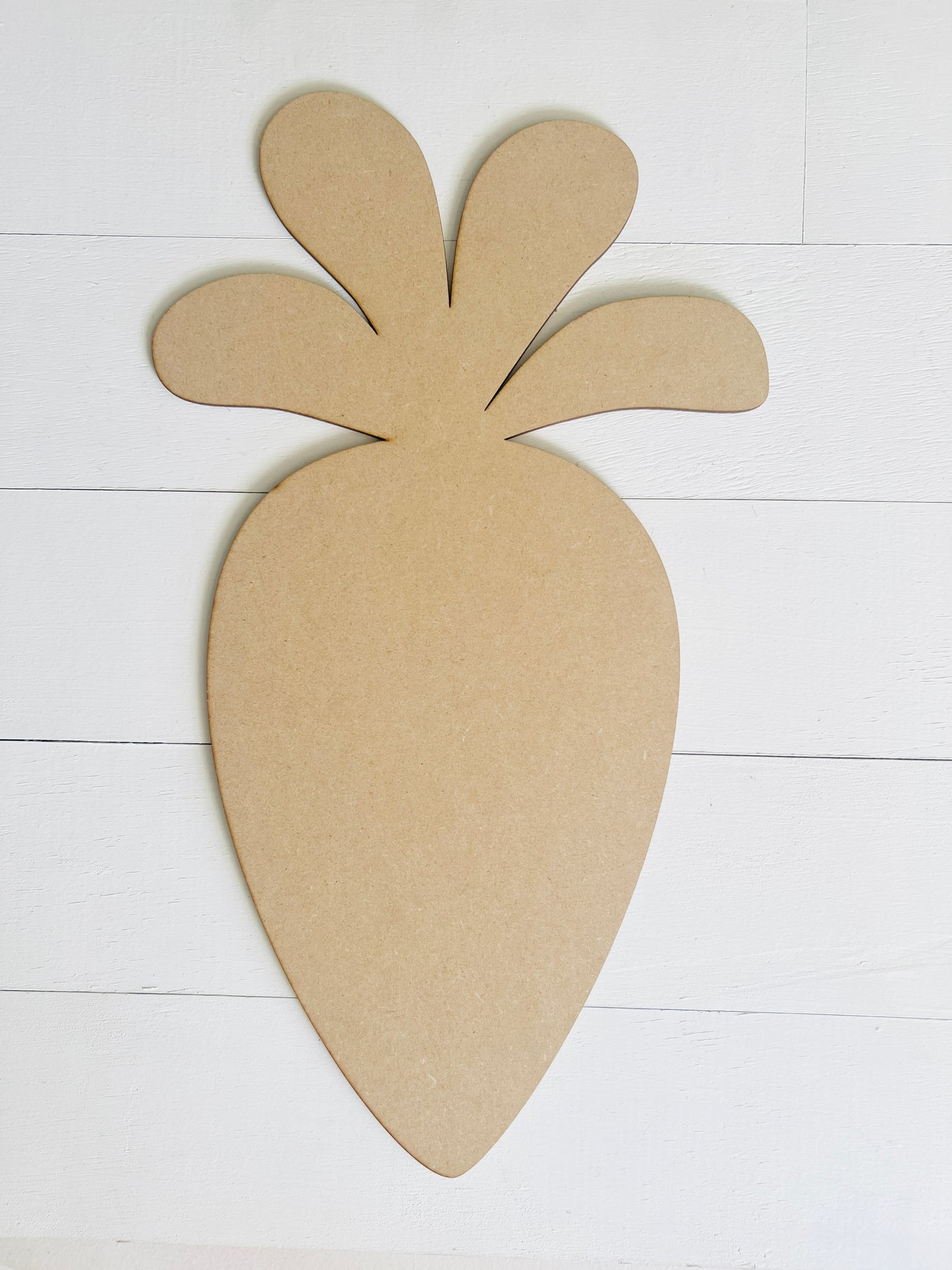 Carrot Door Hanger DIY KIT