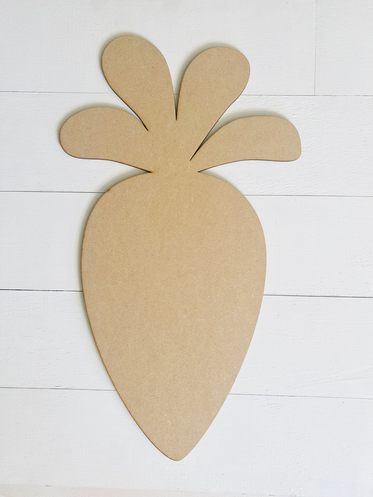 Carrot Door Hanger DIY KIT - 501