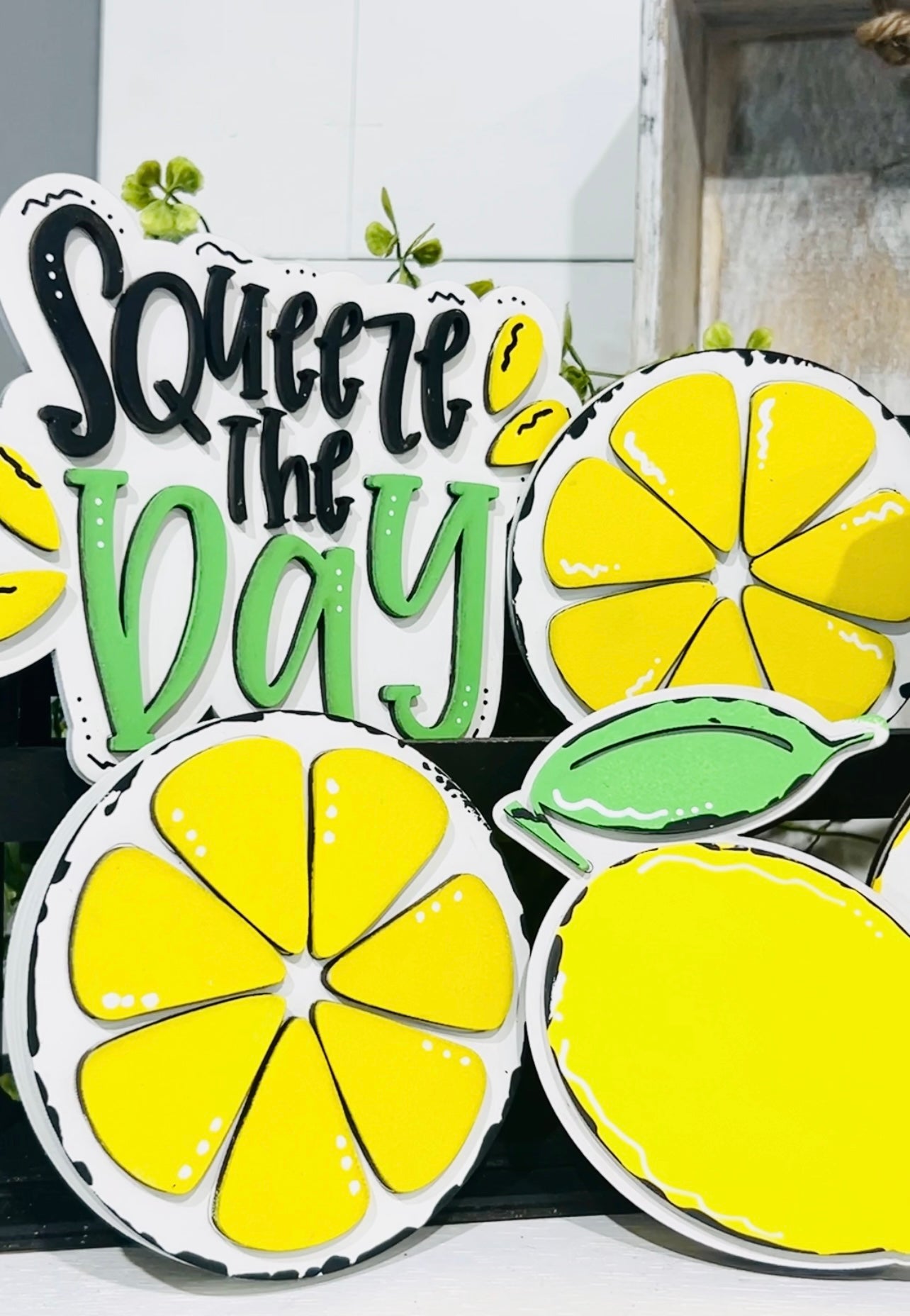 Squeeze The Day Sign DIY KIT