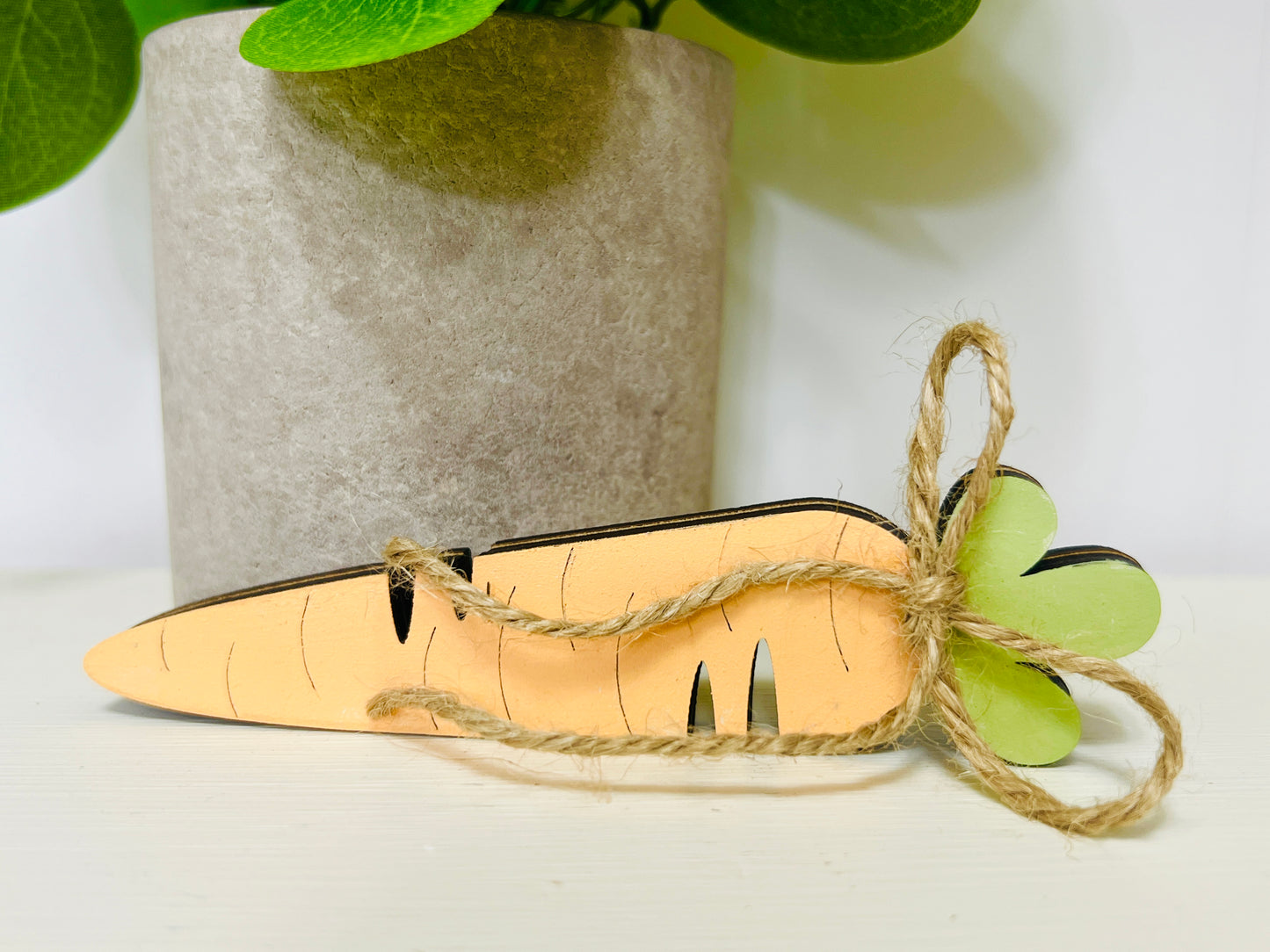 Mini Carrots - Bundle of 6