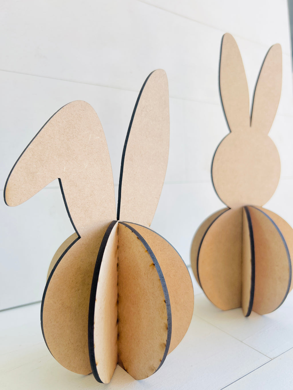 3-Dimensional Bunny Set - 489