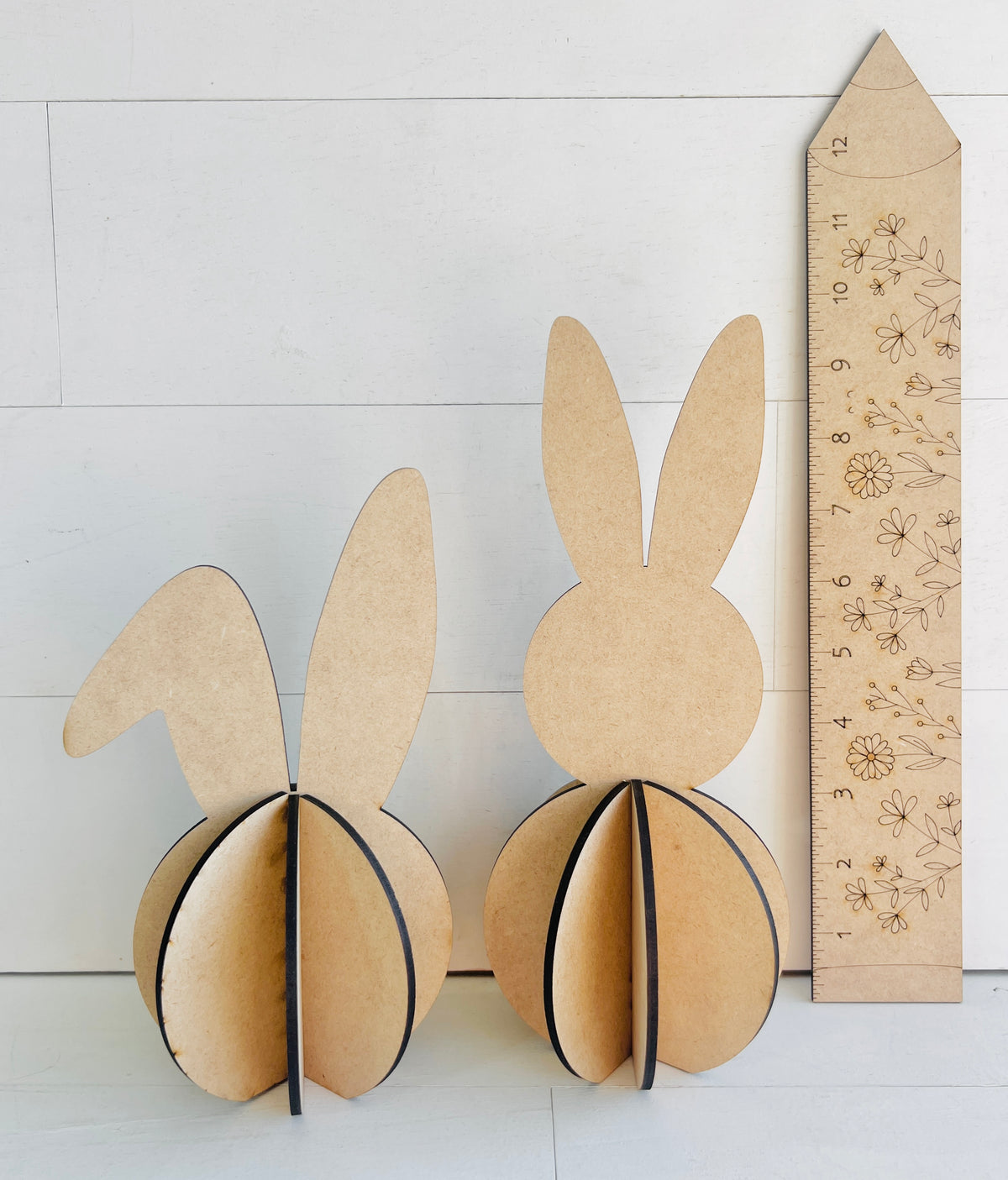 3-Dimensional Bunny Set - 489