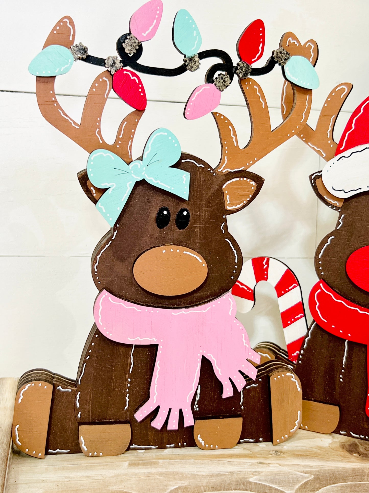 Whimsical Reindeer Couple DIY KIT