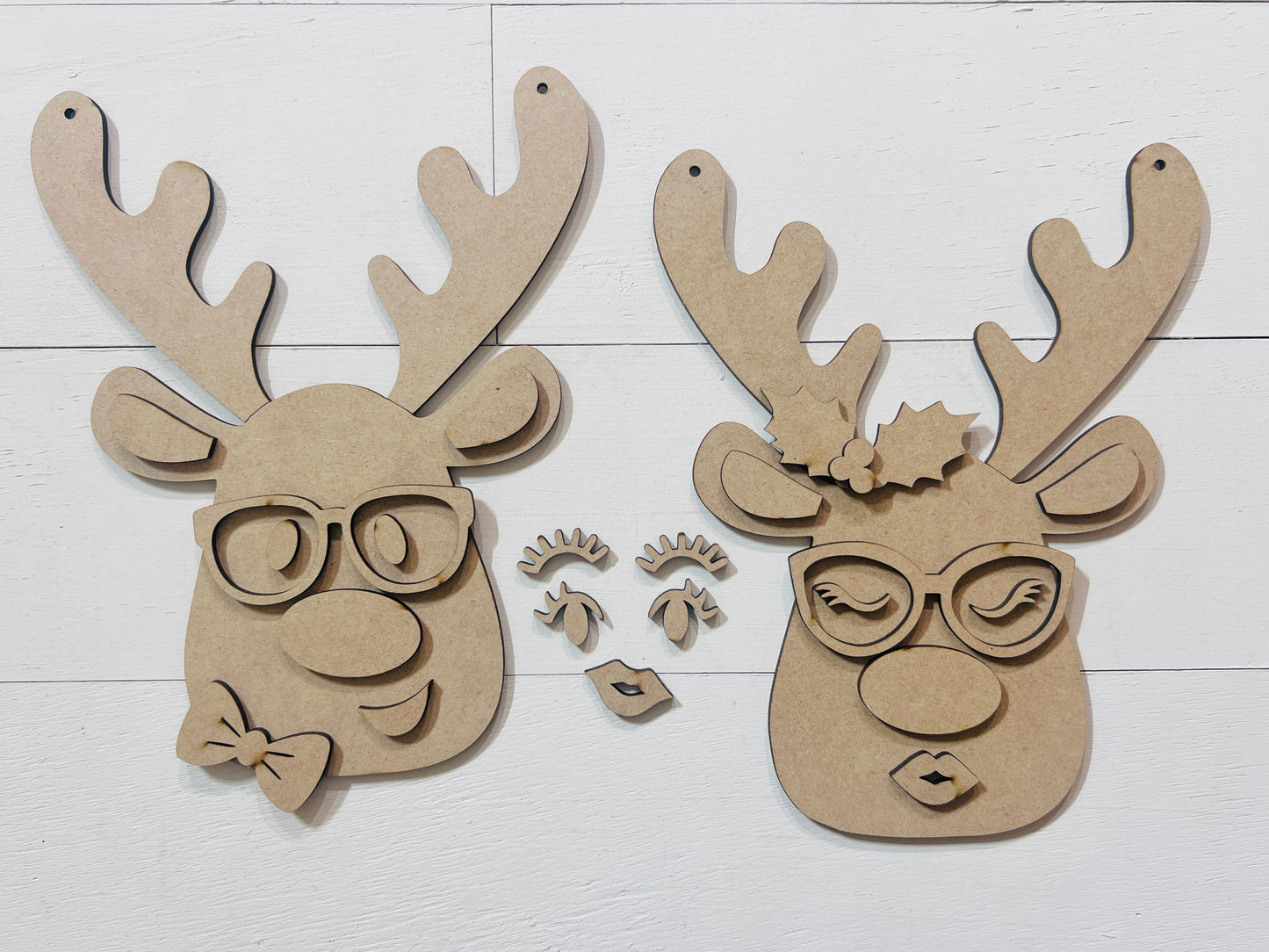 Hanging Reindeer Head Couple DIY Kit