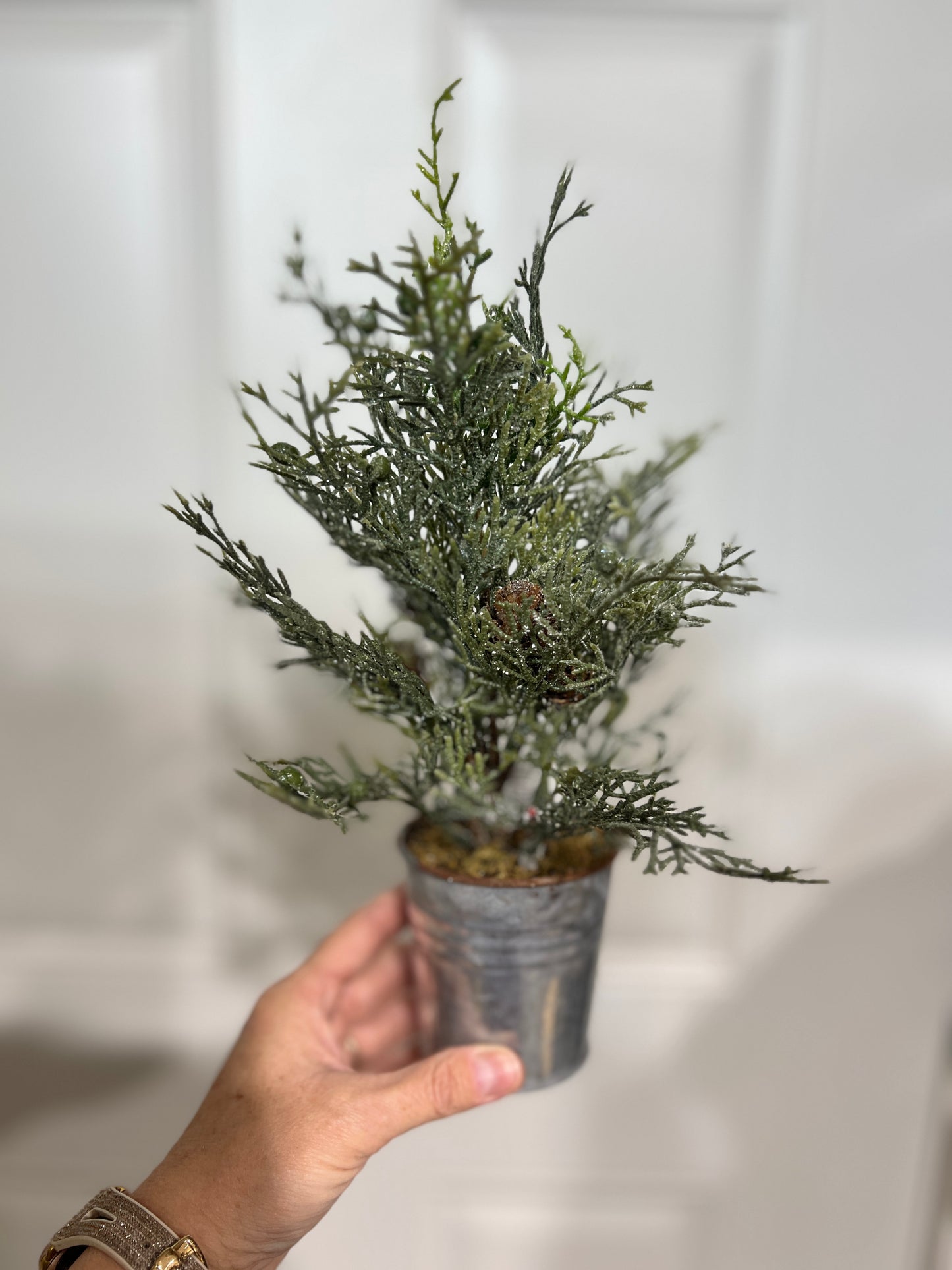 12" Glittering Greens Cedar Tree