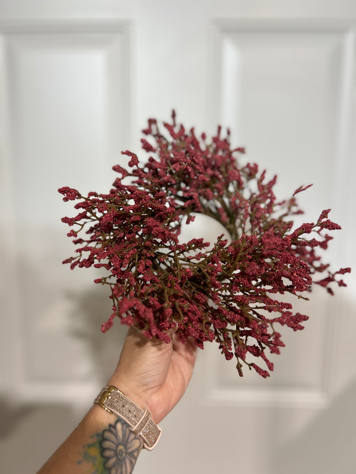 Fall Array Astilbe - Red