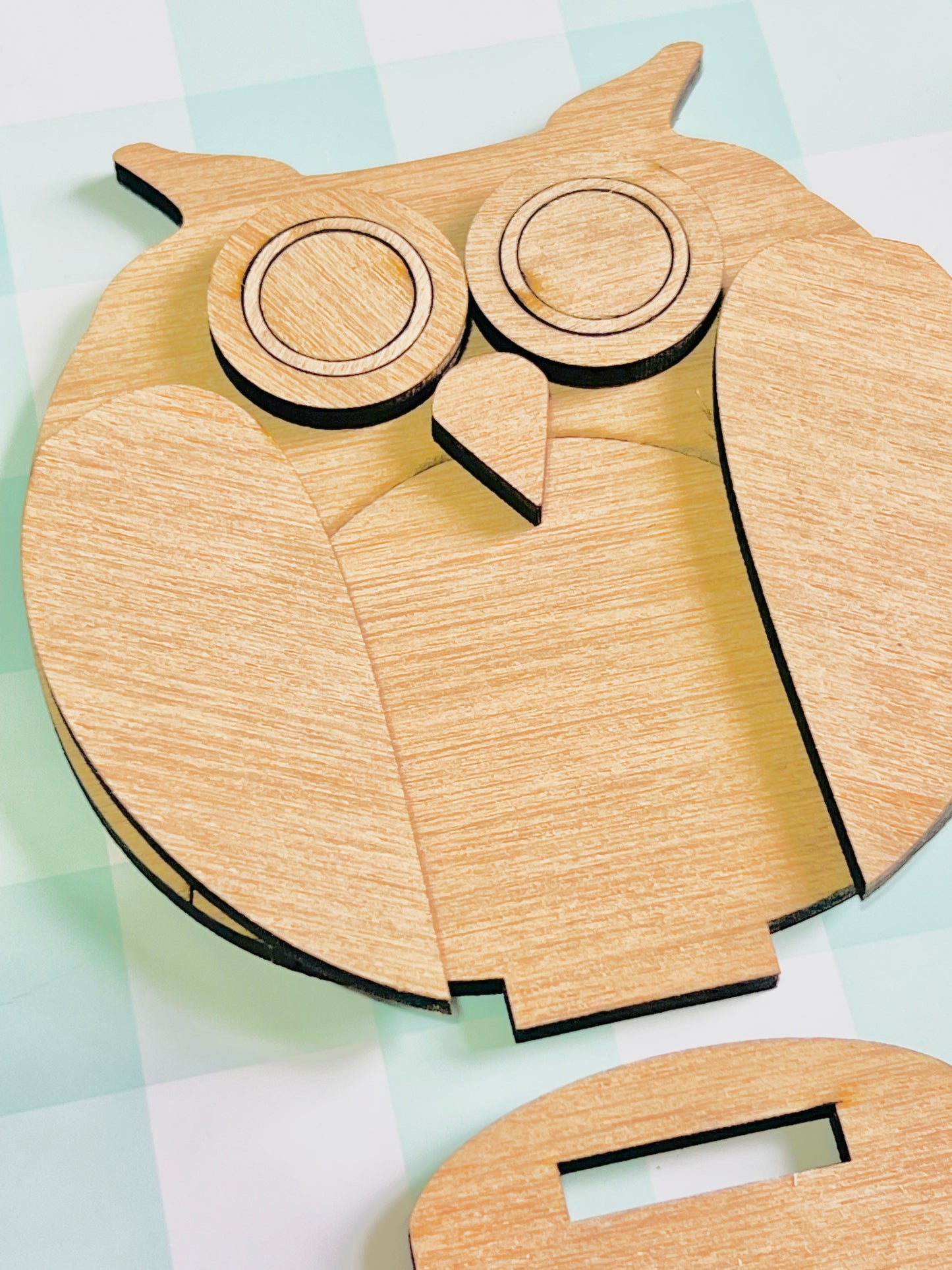 Whimsical Owl Cuties DIY KIT