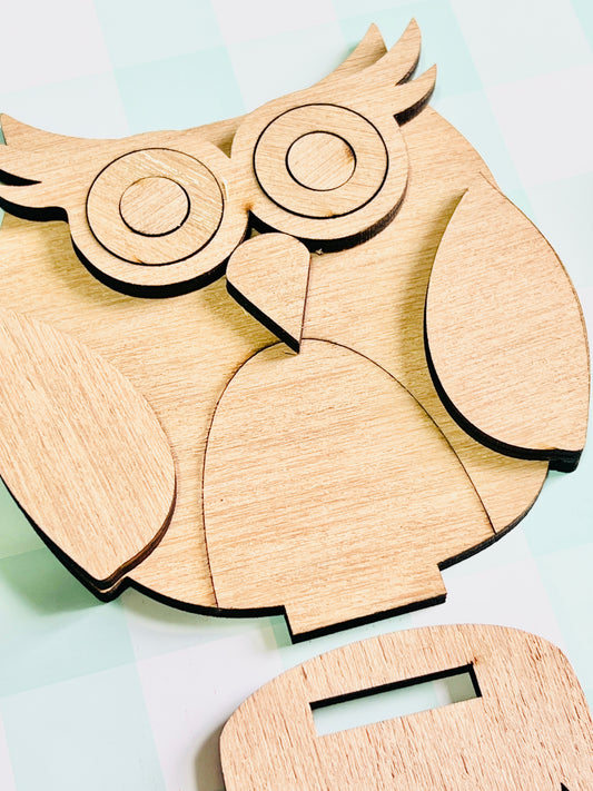 Whimsical Owl Cuties DIY KIT