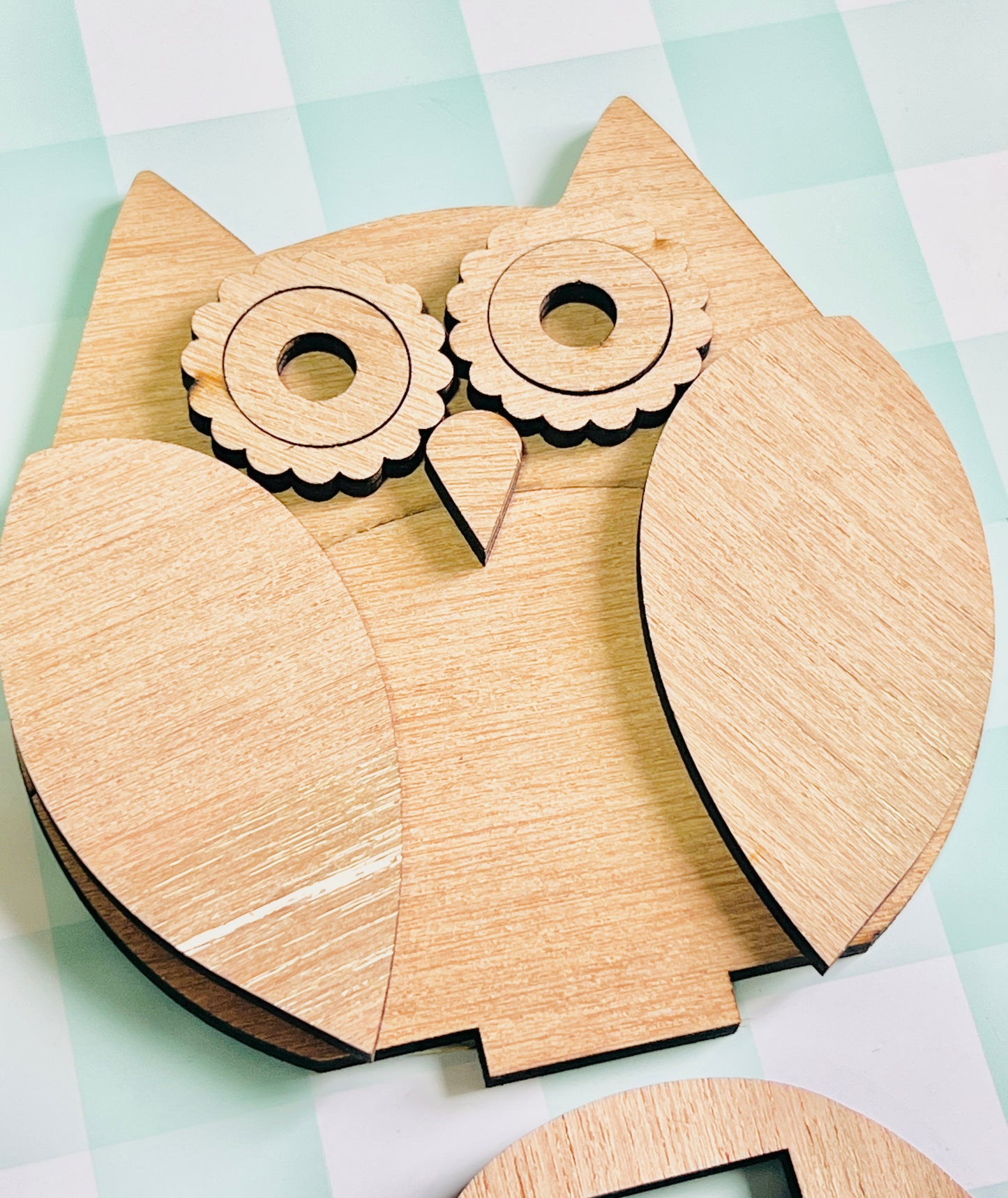 Whimsical Owl Cuties DIY KIT