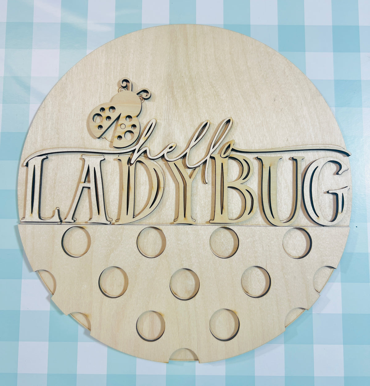 12" Hello LadyBug Door Hanger DIY KIT
