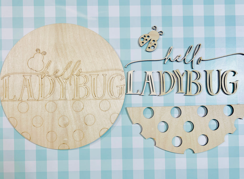 12" Hello LadyBug Door Hanger DIY KIT - 566
