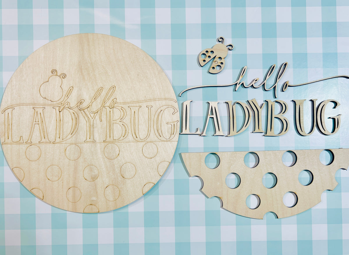 12" Hello LadyBug Door Hanger DIY KIT